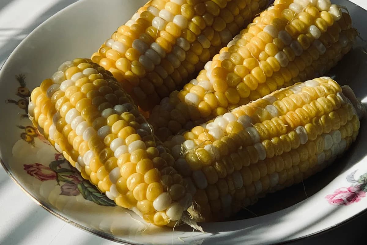 National Corn on the Cob Day