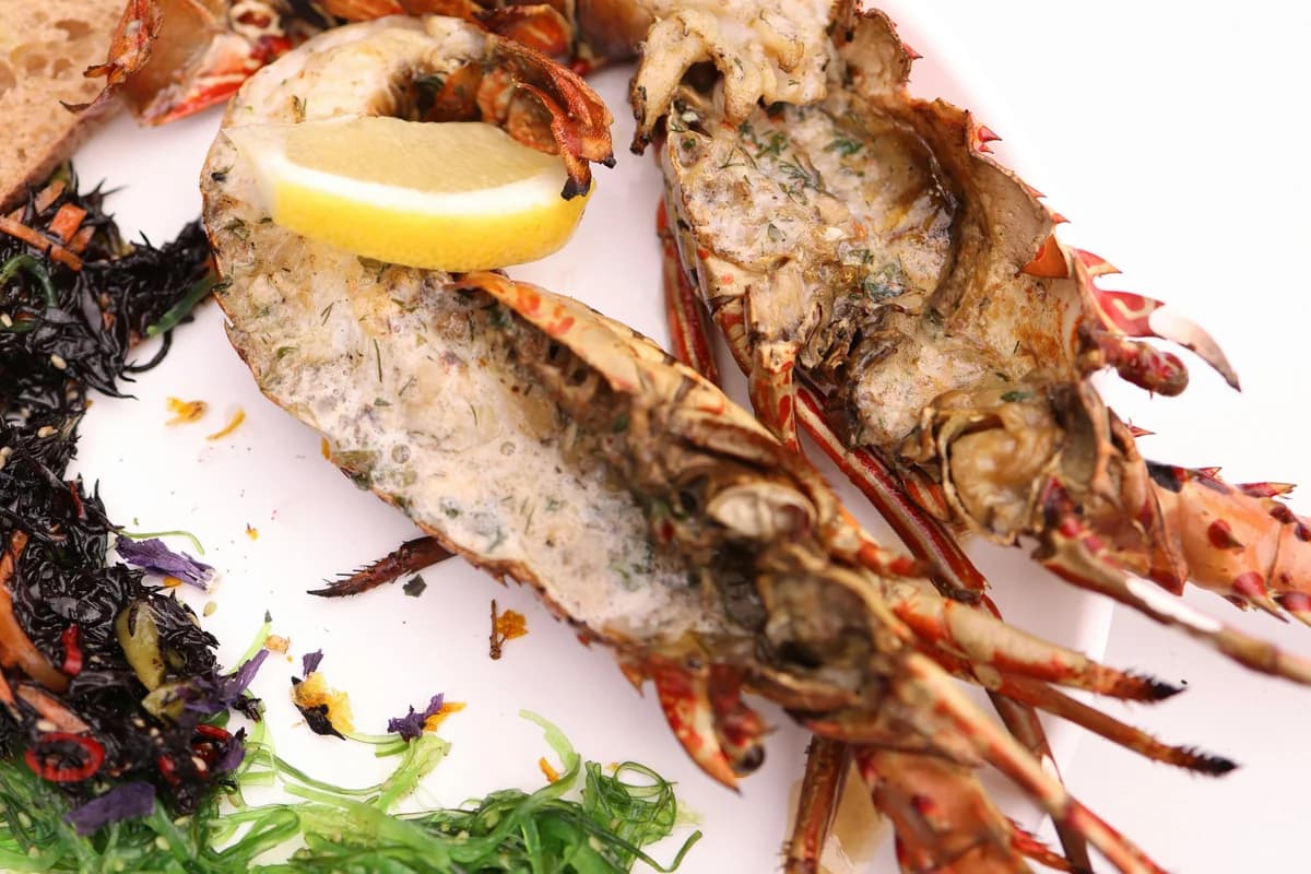 National Lobster Day